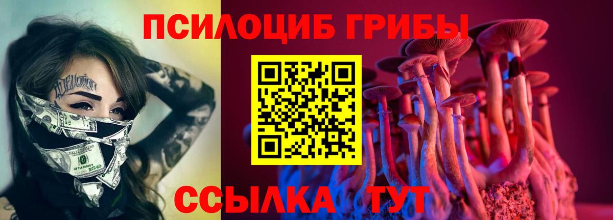 Псилоцибиновые грибы MAGIC MUSHROOMS  хочу наркоту  Феодосия  Псилоцибиновые грибы мицелий  Вход с VPN 